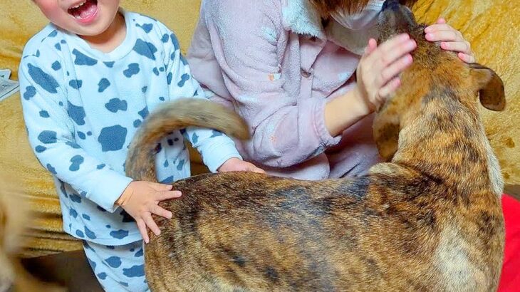 犬と子供が『入院していたお母さん』と36日ぶりに会った結果…感動的な『家族の再会』が尊すぎると6万再生「皆幸せそう」「うるっときた」(ブログ)