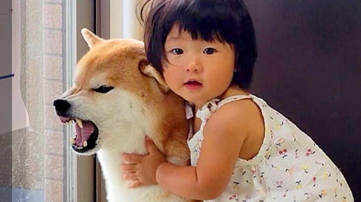 赤ちゃんの頃から『犬と一緒に育った1歳の女の子』…まさかの『お話しする光景』が尊すぎると28万再生「いい兄妹」「後ろ姿が眩しい」と絶賛(ブログ)