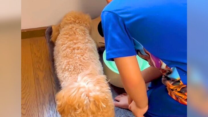 犬がドッグフードに飽きて食べないので『裏ワザを使ってみた』結果…嘘のような展開が28万再生「騙されてるｗ」「信じてて可愛すぎｗｗ」(ブログ)