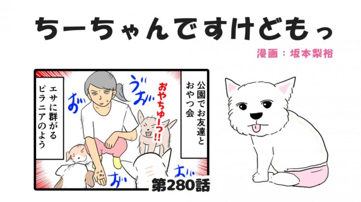 ちーちゃんですけどもっ【第280話】「みんなの習性」(ブログ)