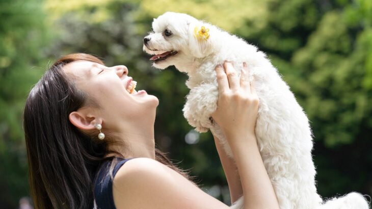 犬が『尊敬』している人だけにみせるサイン5選　愛犬からリスペクトされる飼い主の特徴とは？(ブログ)