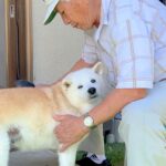 犬が『15年間おじいちゃんと一緒に居続けた』結果…老犬になっても変わらない『何よりも愛している姿』が話題に「最高の相棒」「涙が…」(ブログ)