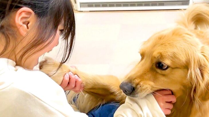 大型犬が『甘噛み』してきたので噛み返してみた結果…まさかの『可愛すぎる反応』が83万再生「凄い信頼関係」「幸せすぎる家族」と大絶賛の声(ブログ)