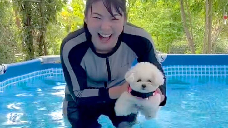 犬がプールに入るのを見ていた大人たちが…可愛すぎて『IQが異常に低くなる光景』に共感と爆笑の声「脳が溶けそう」「語彙力ｗ」と206万再生(ブログ)