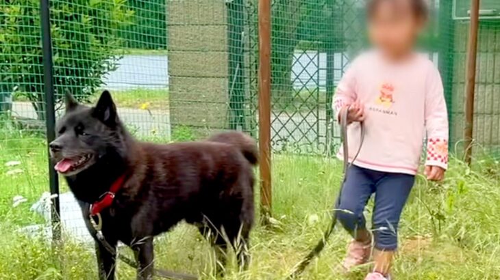 2歳の女の子に『犬のリードを持たせてみた』結果…予想外だった『まさかの行動』が56万再生「状況判断ができて凄い」「力を見極めてる」(ブログ)