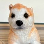 おじいちゃんが犬のために『おもちゃを修理した』結果…愛情深い光景が尊すぎると話題に「手つきがプロ」「すごい嬉しそうで感動」と大絶賛(ブログ)