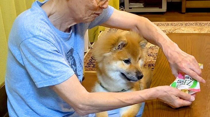 おじいちゃんが『犬におやつをあげようとした』結果…まさかの『お行儀が悪すぎる姿』が話題に「うっかりすぎるｗ」「仲良しコンビ」と絶賛(ブログ)