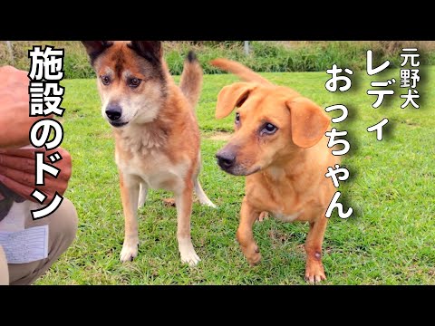 楽園の陰のボスと補佐（SP）レディちゃんとおっちゃん(YouTube)