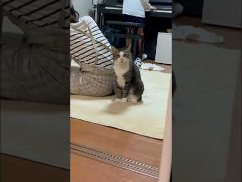 呼ばれるまで待機(YouTube)