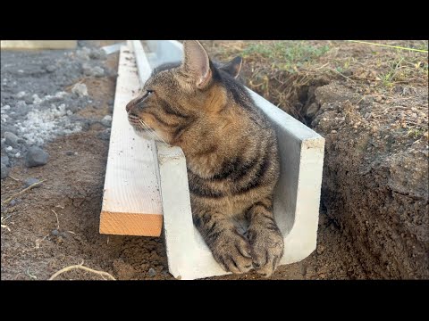 ちょっと小さいけどこれくらいが落ち着くんだわ(YouTube)