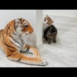 物陰にトラが隠れてたときの子猫たちのリアクションが120点すぎましたwww(YouTube)
