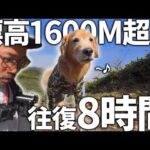 20kg増量したパパをよそにスイスイ登頂する愛犬が凄すぎるww(YouTube)