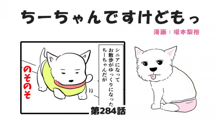 ちーちゃんですけどもっ【第284話】「シニア犬のお散歩のススメ②」(ブログ)
