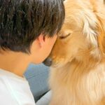 仕事が終わると、ずっと待っていた大型犬が…どうしても甘えたくて見せた『まさかの行動』が36万再生「おいおい可愛すぎる」「健気で泣いた」(ブログ)