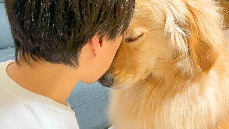 仕事が終わると、ずっと待っていた大型犬が…どうしても甘えたくて見せた『まさかの行動』が36万再生「おいおい可愛すぎる」「健気で泣いた」(ブログ)