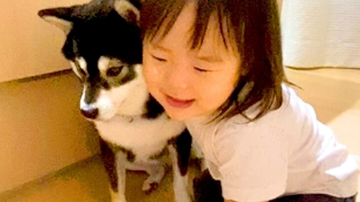 『だーいしゅきよ！』1歳の女の子からの”熱烈な愛情表現”を受けるお姉ちゃん犬が話題に「お利口さんすぎ」「ほっぺくっつける姿が尊い」(ブログ)