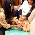 娘に内緒で『赤ちゃん犬を飼った』結果…100点満点の『最高すぎるリアクション』が962万再生「反応可愛いｗ」「二度見してて草」と絶賛(ブログ)