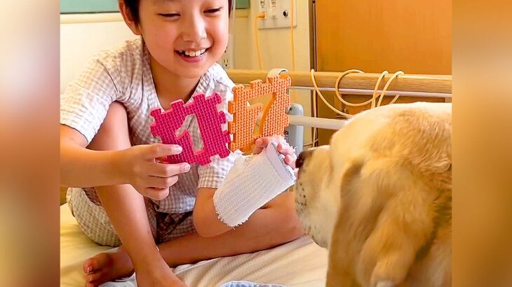 女の子が大型犬に『算数の問題を出した』結果…すごすぎる『まさかの回答』と微笑ましい光景に多くの反響「天才か？」「素敵」と43万再生(ブログ)