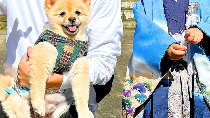 3歳の男の子が『犬と久しぶりの再会を果たした』結果…想像以上の『成長っぷり』が尊すぎると5万再生「なんて優しい家族」「嬉しそう」と絶賛(ブログ)