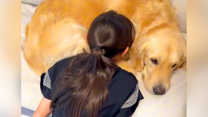 どうしても『犬吸い』をしたかったので強行したら、大型犬が…想像以上に『シュールすぎる光景』が173万再生「体制がｗ」「助け求める目で草」(ブログ)