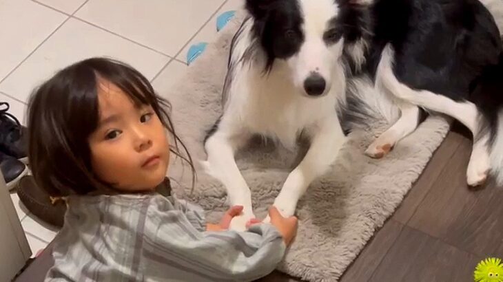 『3歳の娘と犬が見当たらない』と思っていたら…玄関でしていた『まさかの行動』が457万再生「なんて優しい娘さんなの」「素敵な世界」(ブログ)