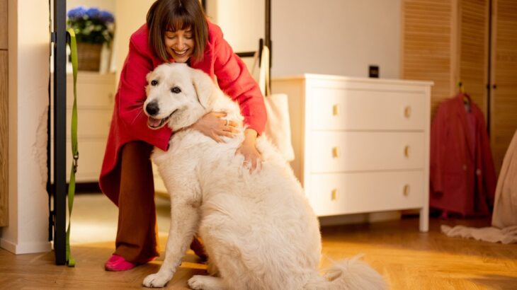 犬が飼い主に抱っこしてほしがるのはなぜ？可愛すぎるその心理を解説(ブログ)