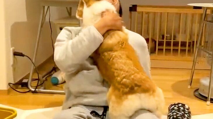 お父さんが家に帰ってくると、くつろいでいた犬が…思った以上の『激しい熱烈歓迎』が57万再生「喜びの舞ｗ」「絵に描いたような家庭」と絶賛(ブログ)