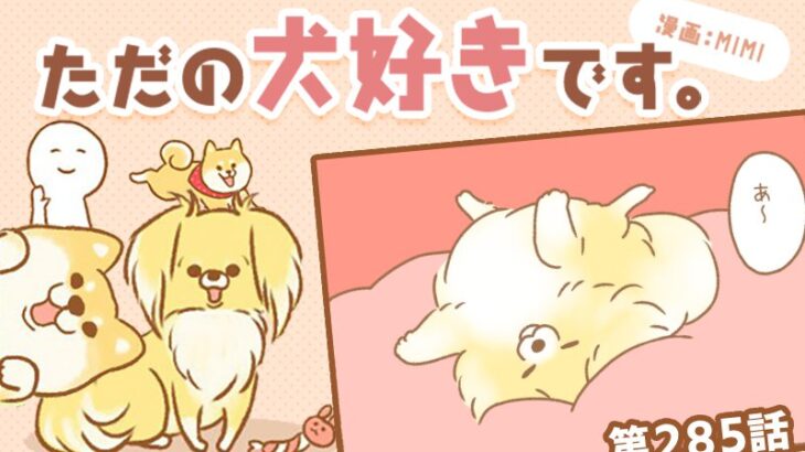 ただの犬好きです。【第285話】「はいどうぞ」(ブログ)