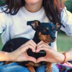 『愛されている犬』がする仕草や行動５つ　どんなときに飼い主からの愛情を感じるの？(ブログ)
