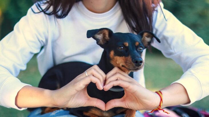 『愛されている犬』がする仕草や行動５つ　どんなときに飼い主からの愛情を感じるの？(ブログ)
