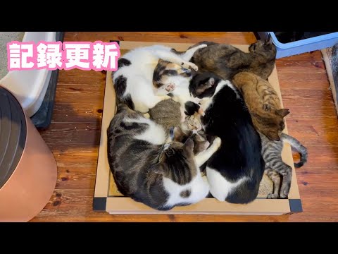 記録更新しました  2024 11 19 2(YouTube)