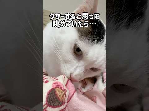 クサーすると思って眺めていたら…w #shorts(YouTube)