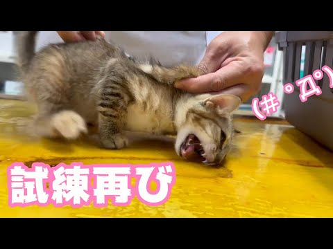 禍は忘れたころにやってくる  2024 11 16 2(YouTube)