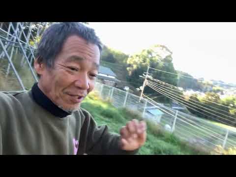 三重県譲渡会大成功！取り急ぎのお礼です(YouTube)