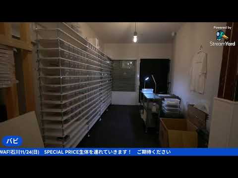 休憩　WAF!石川でやることが決まりました(YouTube)