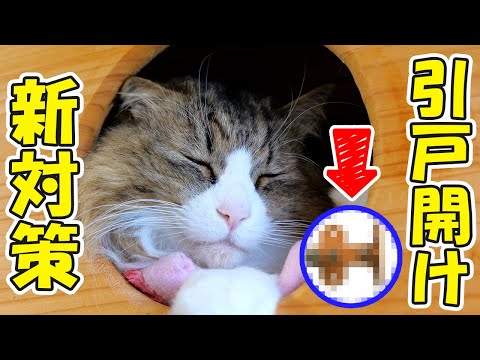 ボス吉が押入れの引戸を開けて大変な事になっていたので新アイテムを試してみました！【猫の引戸開け防止🐈対策】(YouTube)