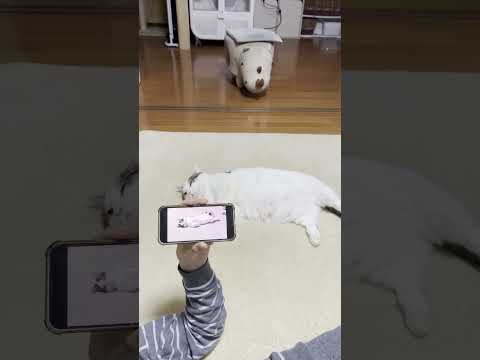 太ったなぁ～(YouTube)