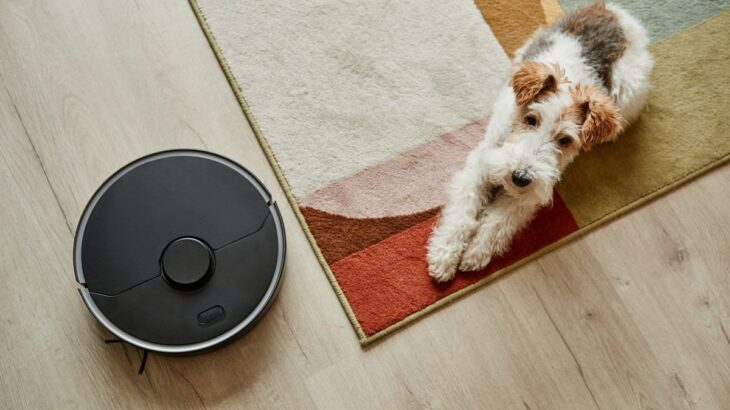 犬の抜け毛はお掃除ロボットで掃除していいの？　生活に取り入れたい活用法から注意点まで(ブログ)