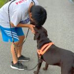 子犬のお迎え日、お兄ちゃんが号泣…家族としての『1年間の軌跡』が感動的だと2万再生「素敵な家族」「とっても可愛い」(ブログ)