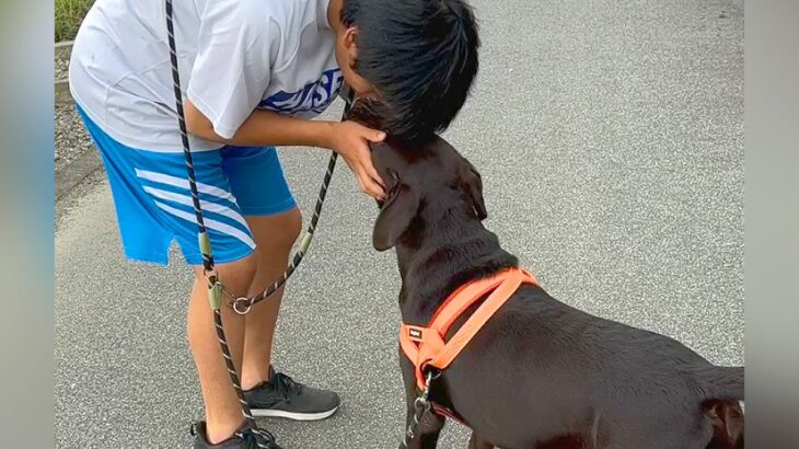 子犬のお迎え日、お兄ちゃんが号泣…家族としての『1年間の軌跡』が感動的だと2万再生「素敵な家族」「とっても可愛い」(ブログ)