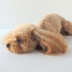 犬が『便秘』になっているときのサイン4選　動物病院へ連れて行くべき症状とは？(ブログ)