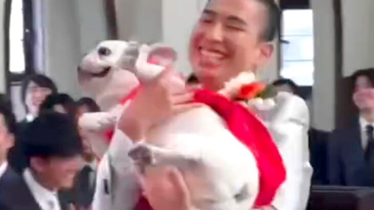 結婚式で『犬に指輪を渡してもらおう』と思ったら…想定外の展開と『まさかの結末』が34万再生「ナイスハプニングｗ」「一生の思い出」と絶賛(ブログ)