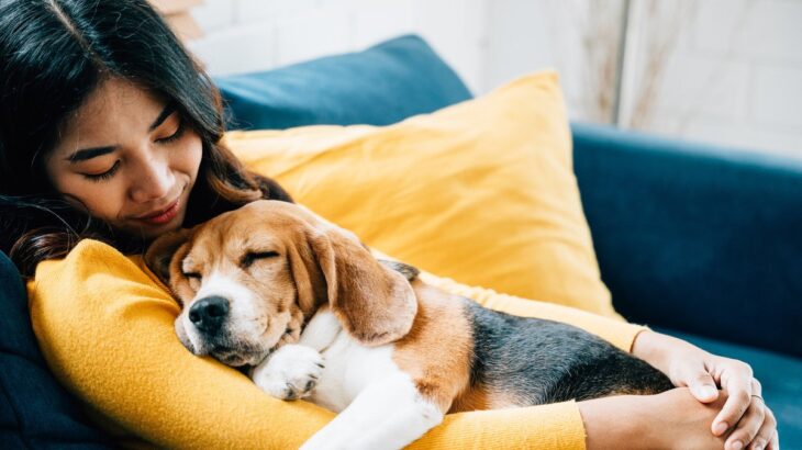 愛犬との時間を濃いものにするコミュニケーション6つ　短時間で絆を深めるための方法とは(ブログ)