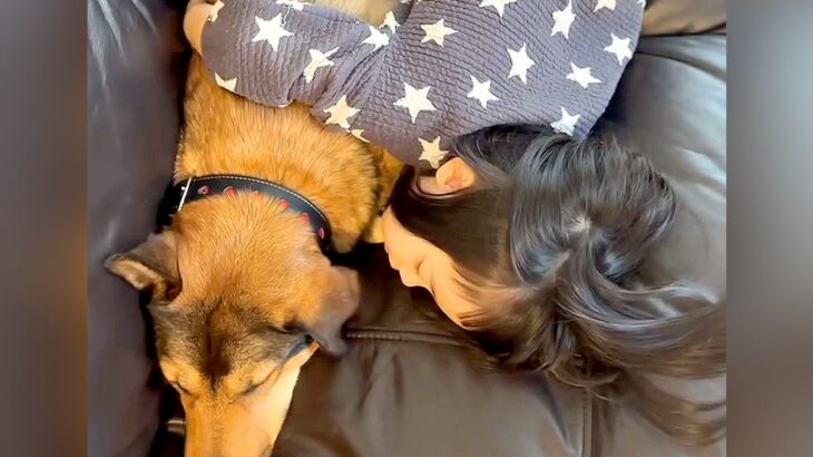 2歳の女の子のことが苦手だった元野犬…51日後に見せた『予想外の光景』が感動的だと6万再生「愛が伝わった」「なんだか涙が…」と賞賛(ブログ)