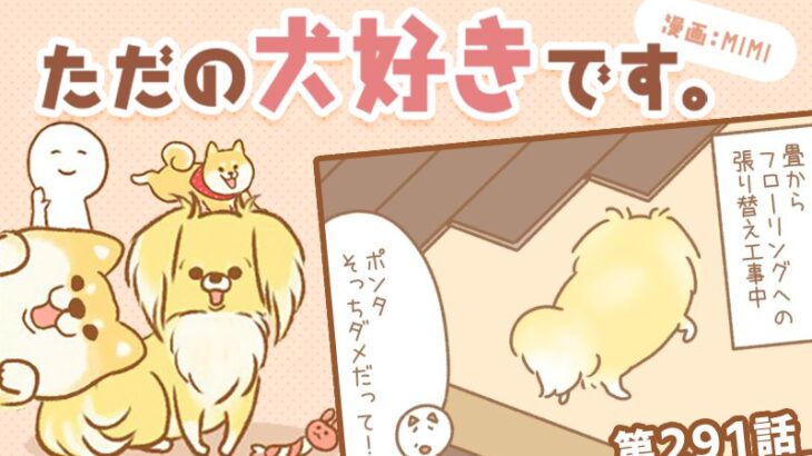 ただの犬好きです。【第291話】「忘れちゃう」(ブログ)