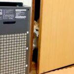 寝る直前、寝室のドアから覗いて入ってこない犬に『おいで』と言ってみた結果…愛おしすぎる『健気で尊い行動』が15万再生「たまらん」「最高」(ブログ)