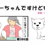 ちーちゃんですけどもっ【第285話】「シニア犬の見守り」(ブログ)