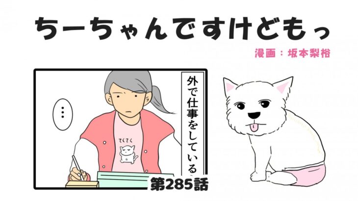 ちーちゃんですけどもっ【第285話】「シニア犬の見守り」(ブログ)
