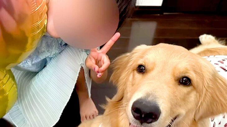 『9歳の女の子と1歳11か月の大型犬』の成長記録…ふたりで一緒に過ごした『かけがえのない毎日』が泣けると11万再生「特別な関係」「素敵」(ブログ)