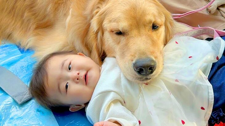 赤ちゃんを連れてピクニックに行ったら、大型犬が…大好きが溢れてしまい『絶対に離れない光景』が33万再生「可愛すぎる」「理想の家族」と悶絶(ブログ)